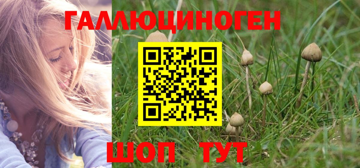 Псилоцибиновые грибы GOLDEN TEACHER  Вход с VPN  Крымск 