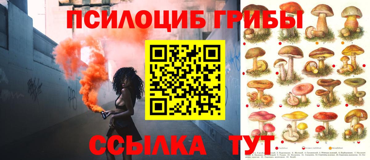Псилоцибиновые грибы мухоморы Крымск